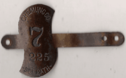 Chemung County Sidepath 1907