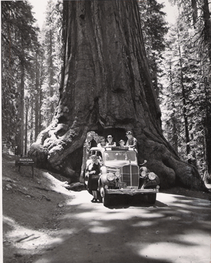 Car with 1939 California License Plate