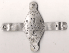 Cayuga County Sidepath 1901