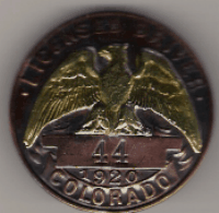 1920 Licensed Driver