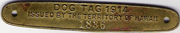 1914 Dog Tag