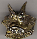1915 Auto Show Pin