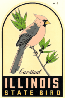 Illinois Windshield Decal 8