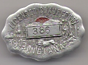 1915 Licensed Chauffeur