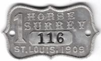 1909 St. Louis Missouri 1 Horse Surrey