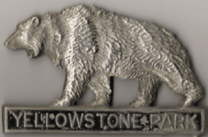 Yellowstone Bear