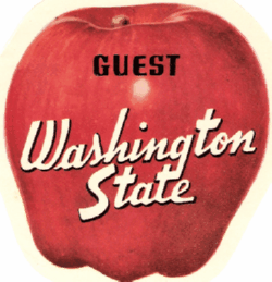 Washington Guest sticker