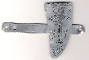 Wayne County Sidepath 1901